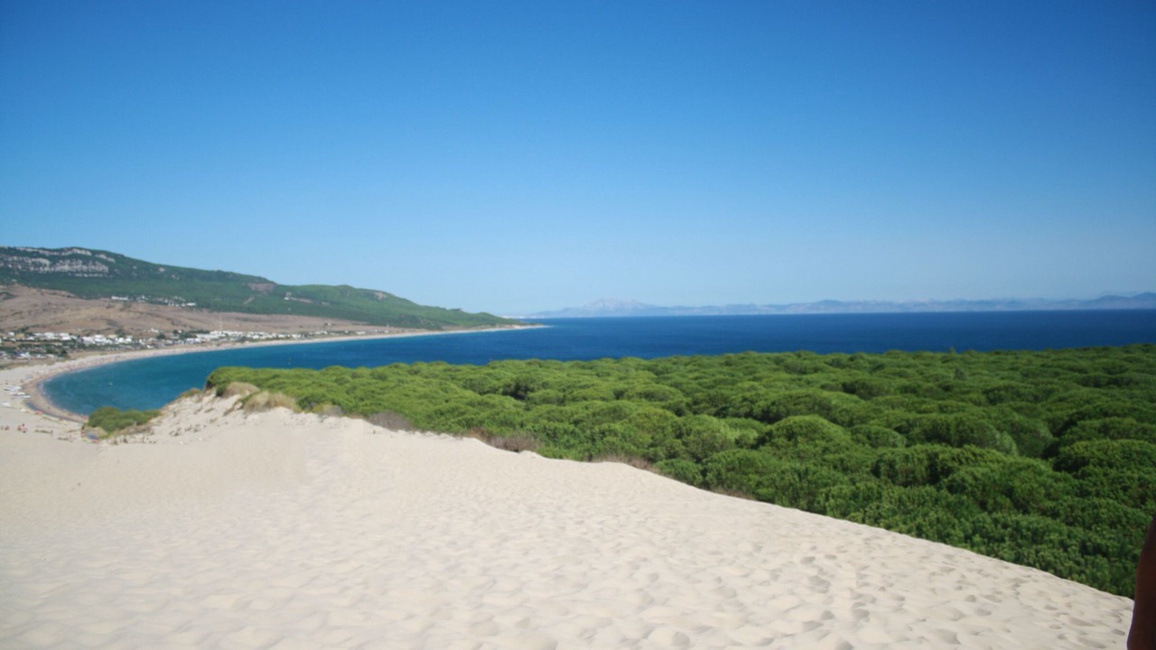 Photo of Others in Bolonia