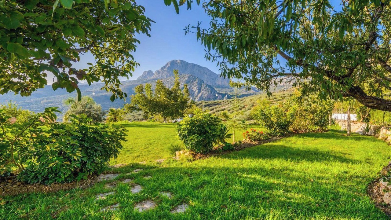 Photo of Outdoor in Alfarnatejo