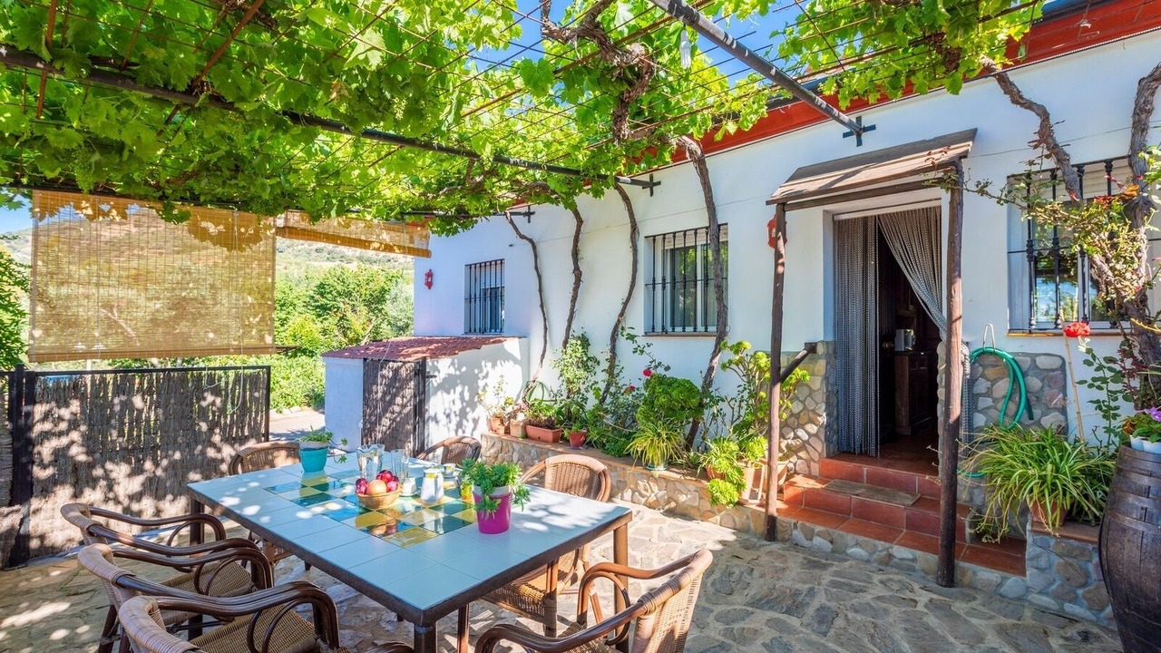 Photo of Outdoor in Benalauria