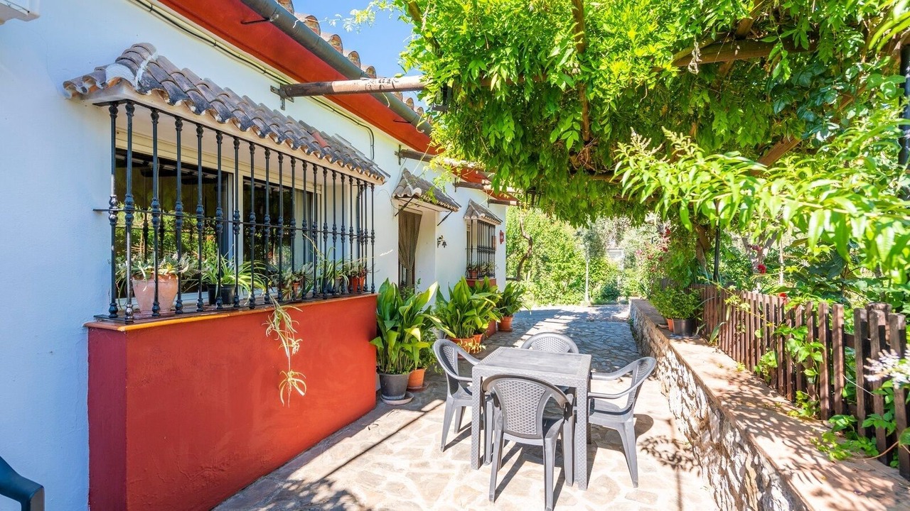 Photo of Outdoor in Benalauria