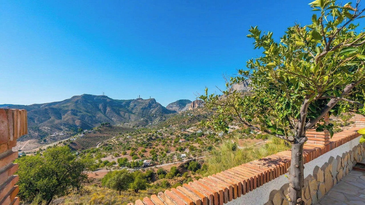 Photo of Outdoor in Alora