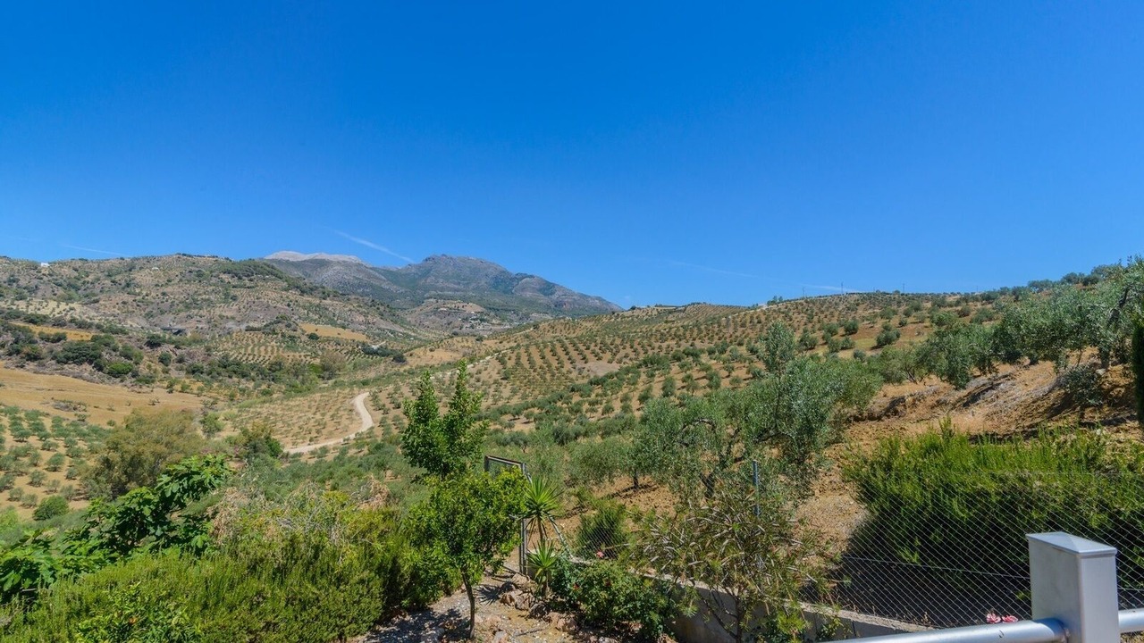 Photo of Others in Alozaina
