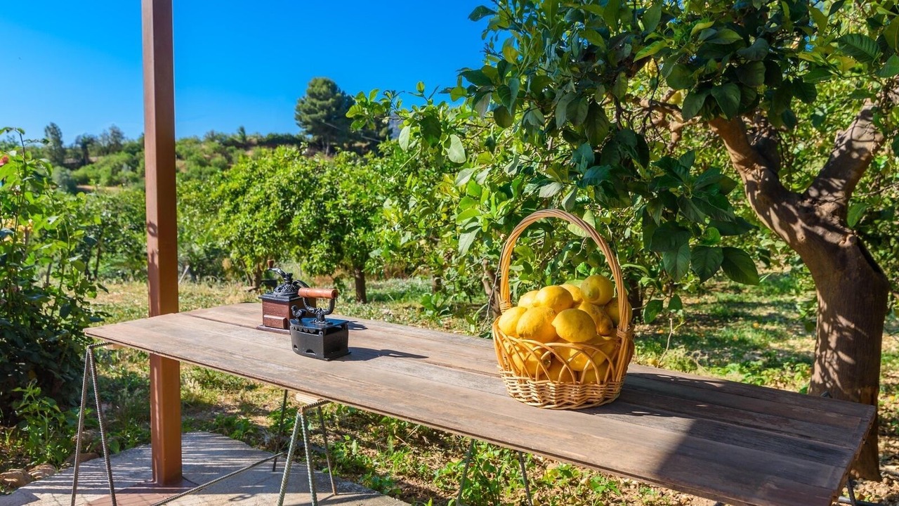 Photo of Outdoor in Alora
