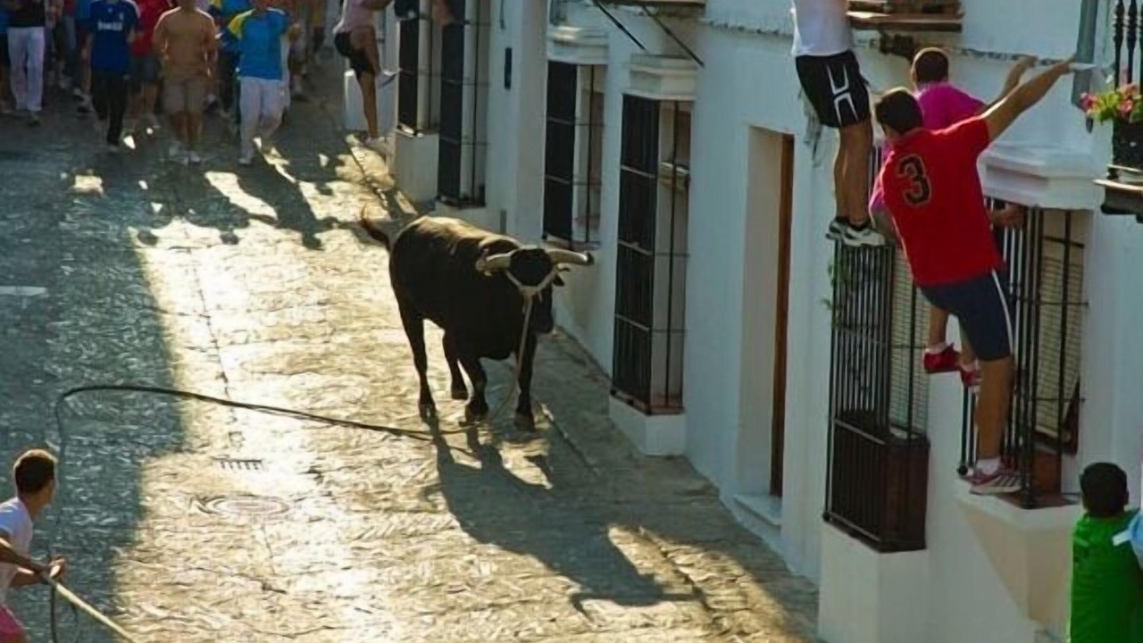 Photo of Others in Grazalema