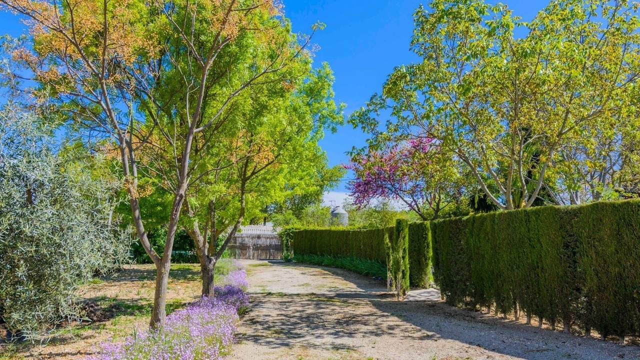 Photo of Outdoor in Arriate
