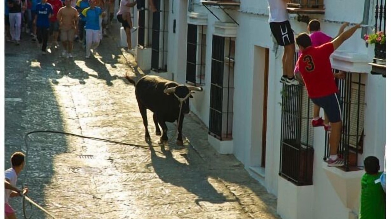 Photo of Others in Grazalema