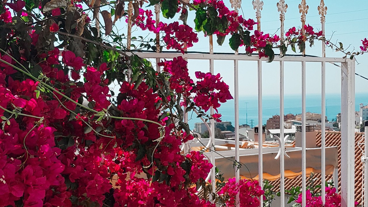 Photo of Outdoor in La Cala del Moral