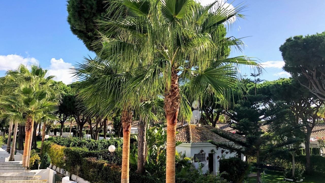 Photo of Outdoor in Poblado Sancti Petri