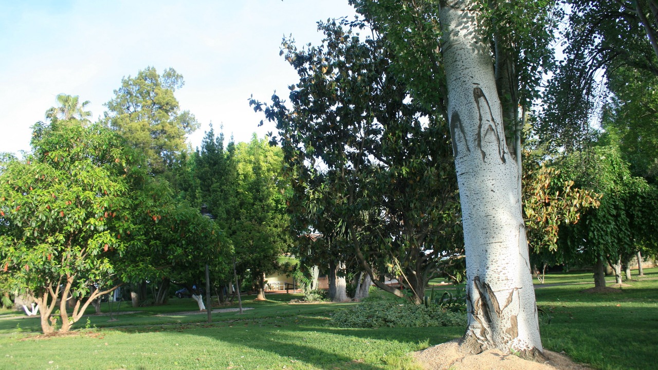 Photo of Outdoor in Cordoba