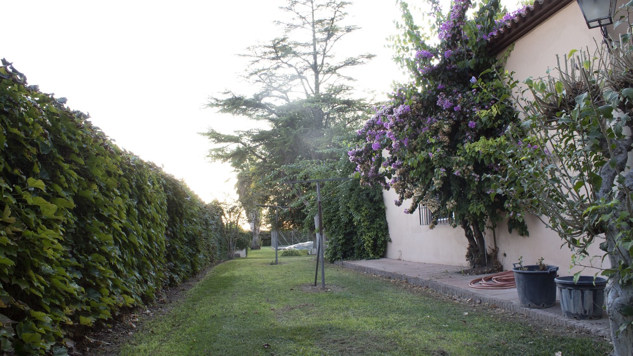 Photo of Outdoor in Cordoba