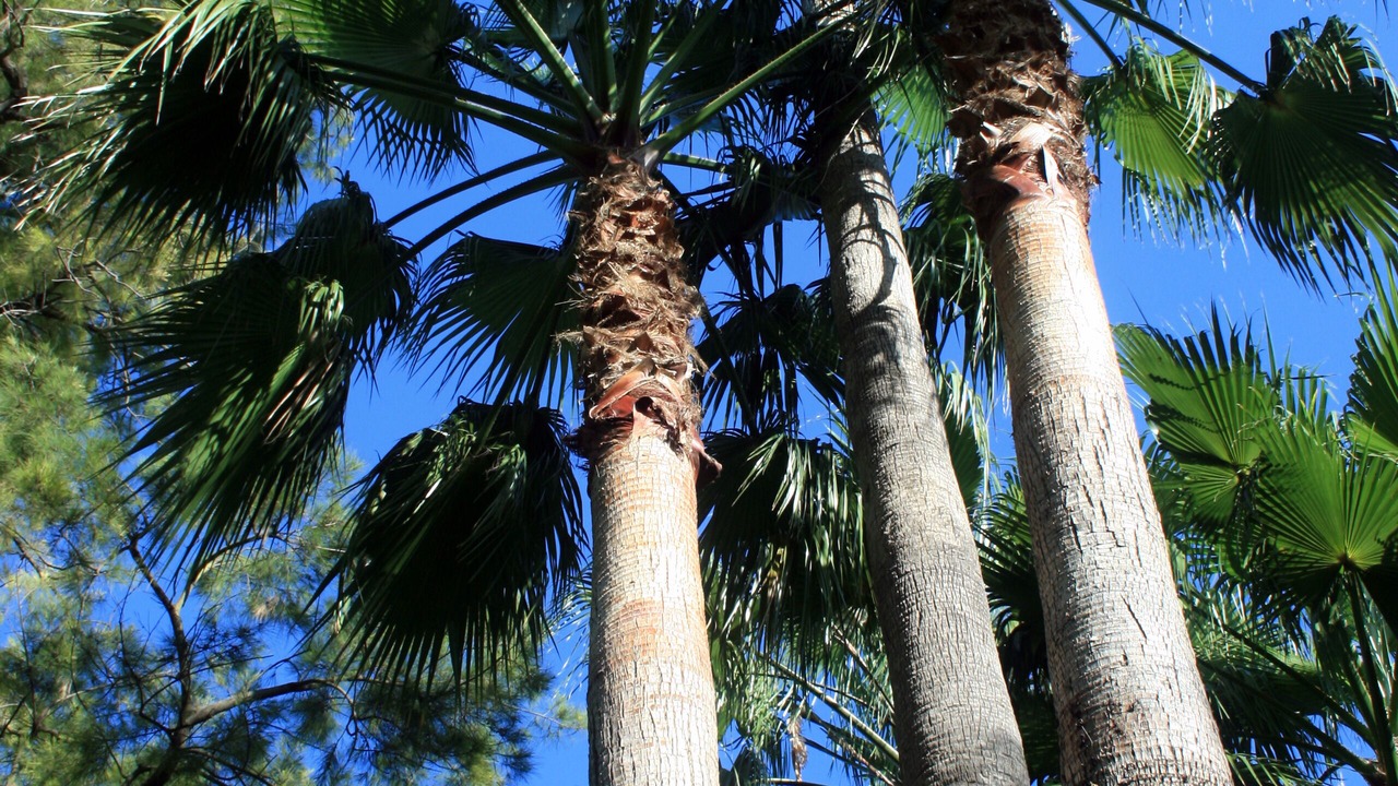 Photo of Outdoor in Cordoba