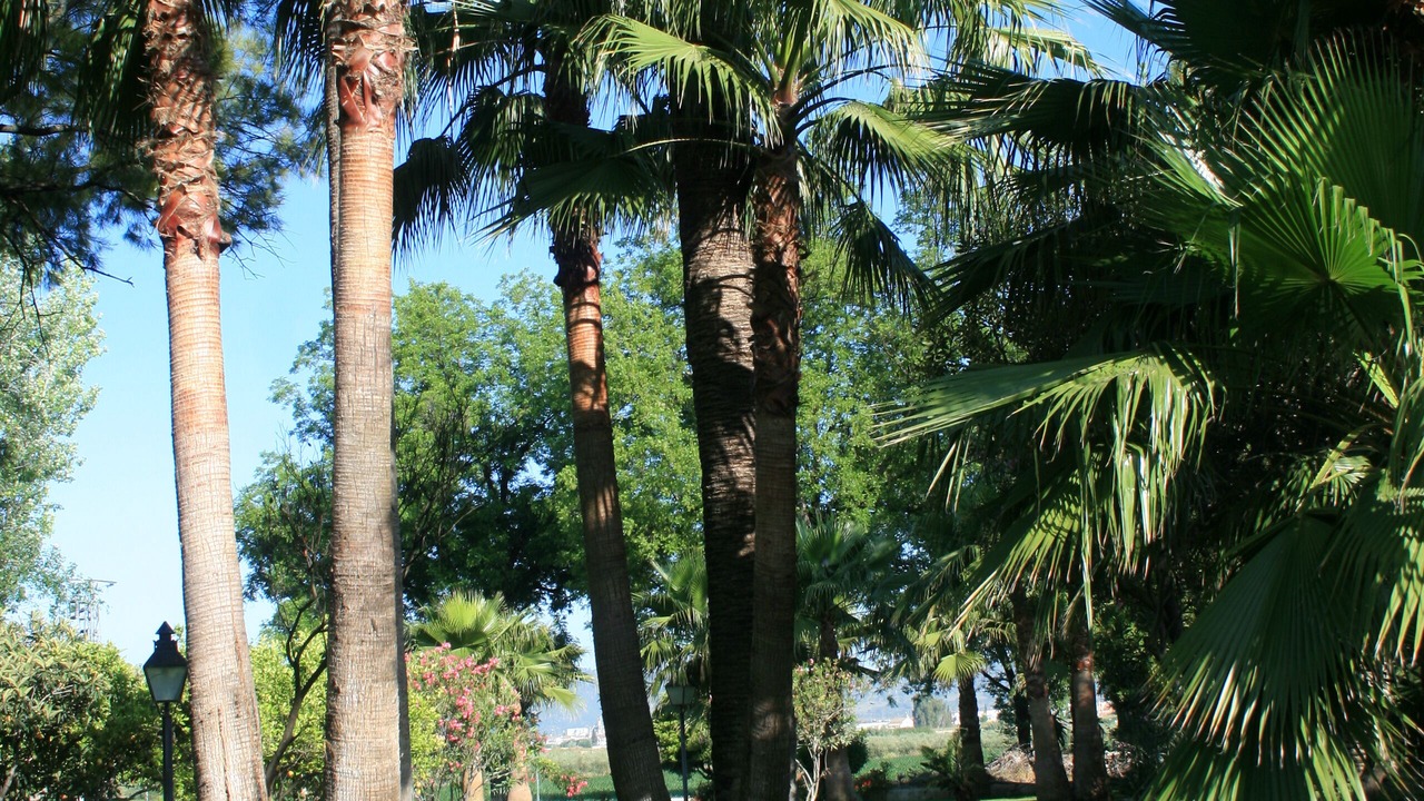 Photo of Outdoor in Cordoba