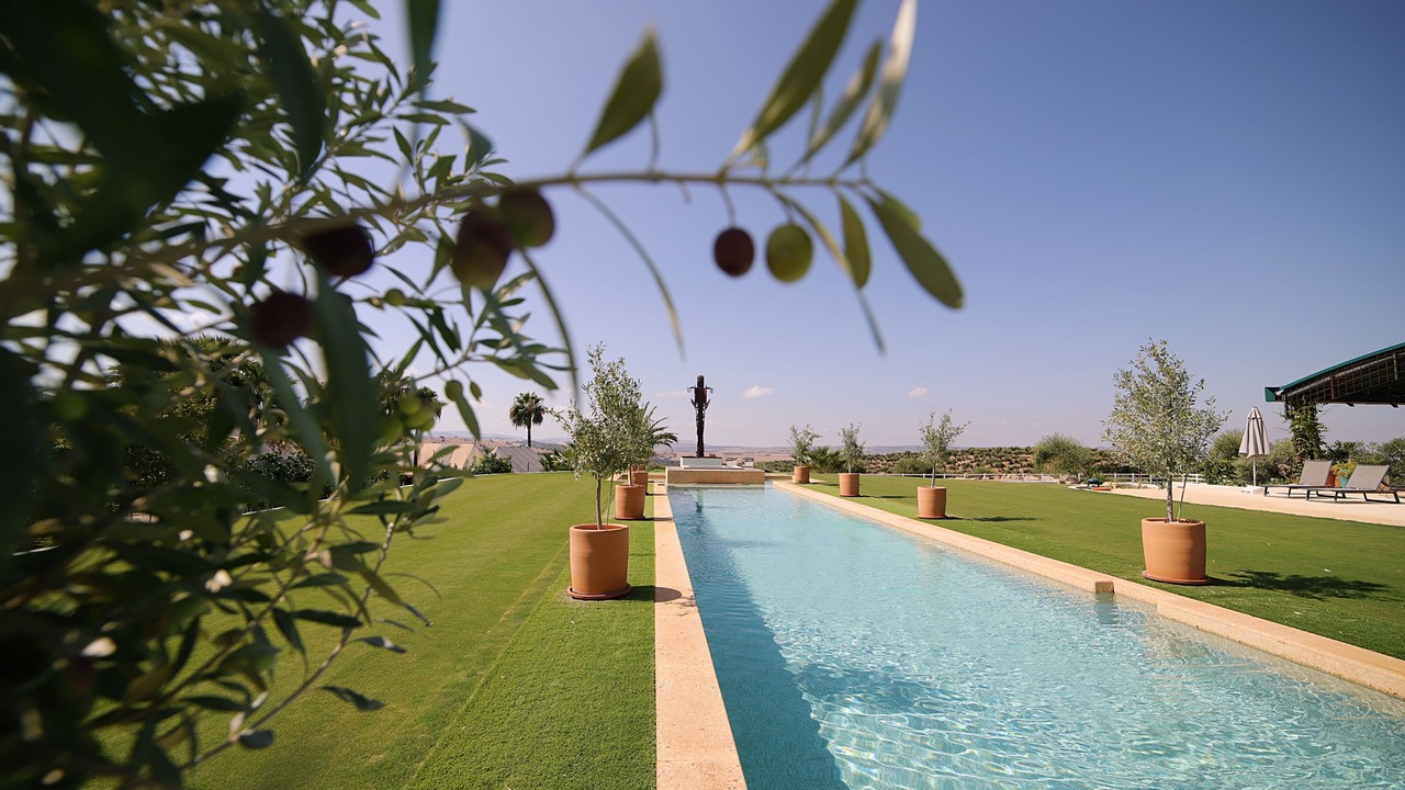 Photo of Outdoor in Villamartin