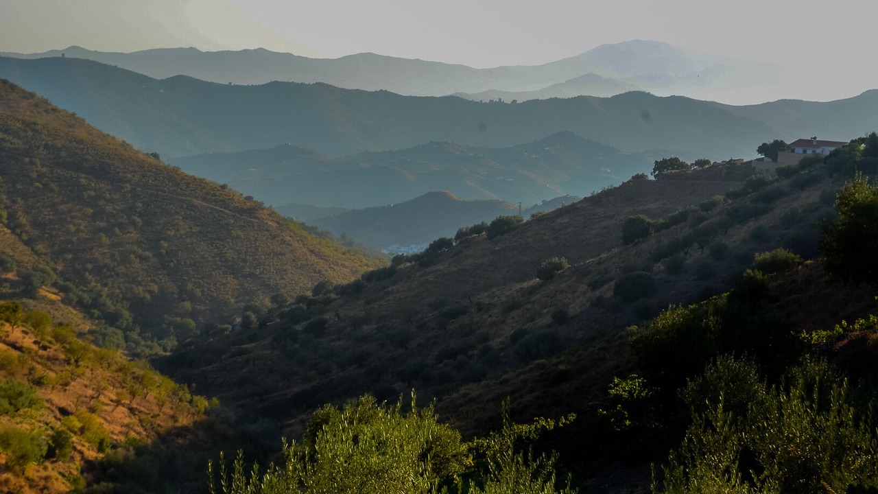 Photo of Outdoor in Canillas de Aceituno