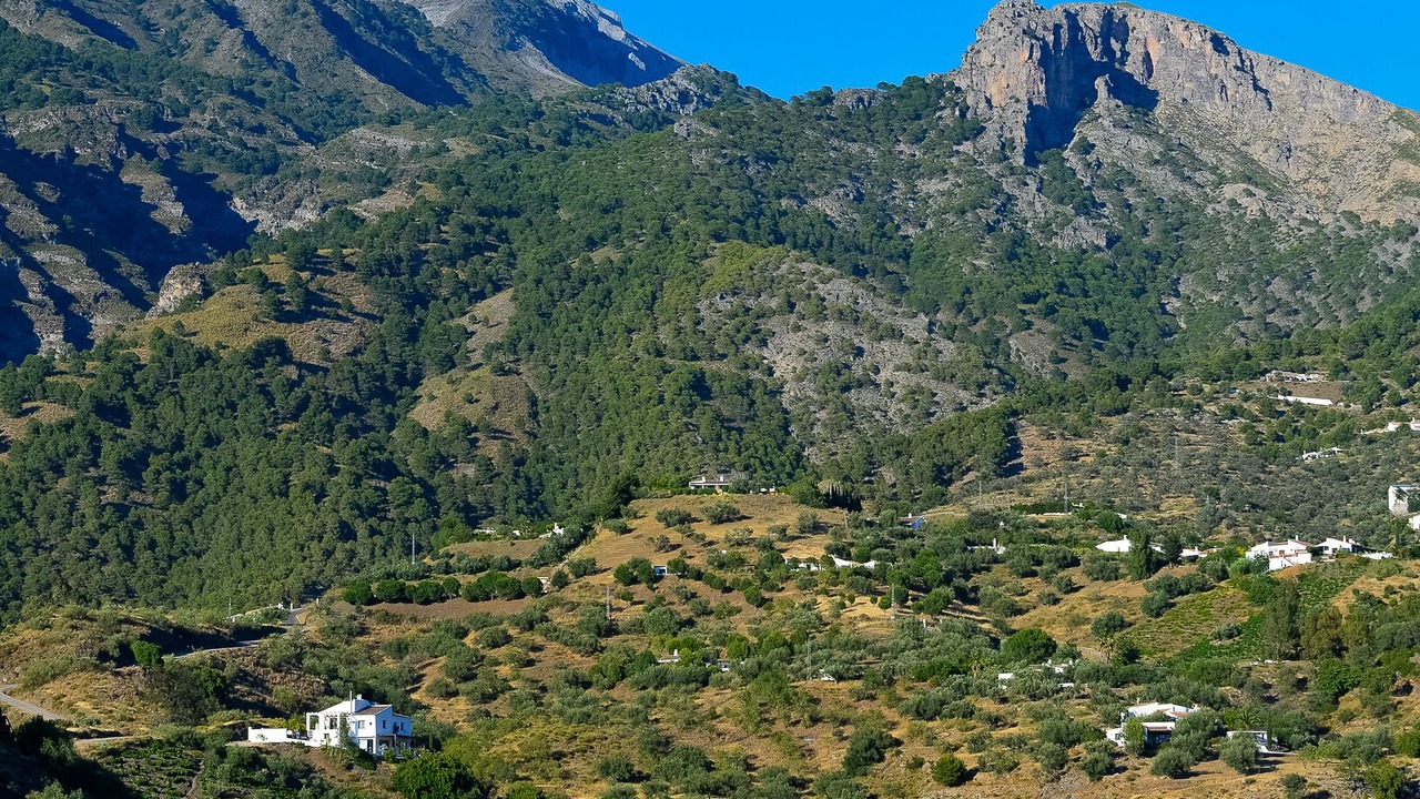 Photo of Outdoor in Canillas de Aceituno