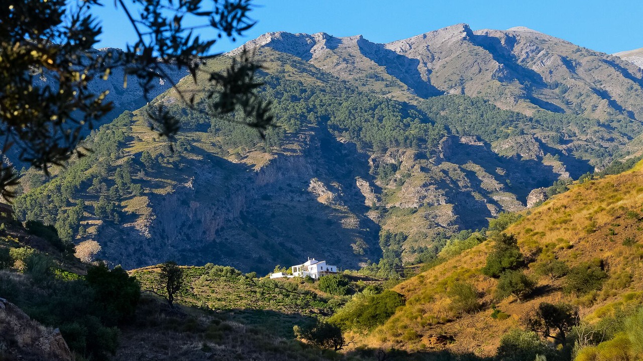 Photo of Others in Canillas de Aceituno