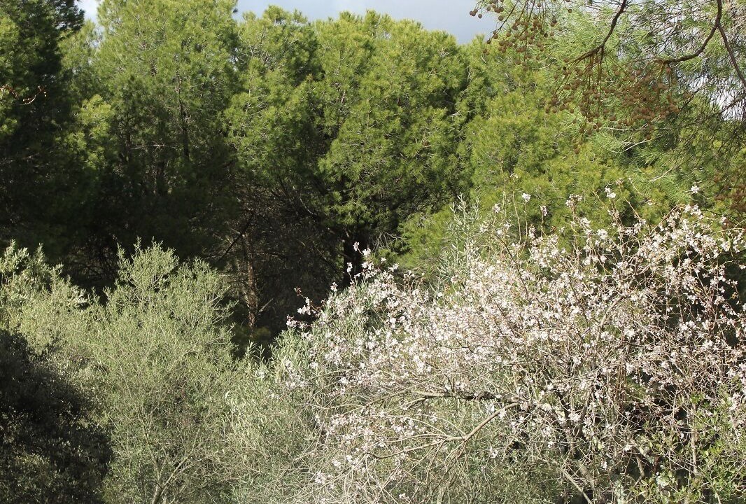Photo of Outdoor in Andujar