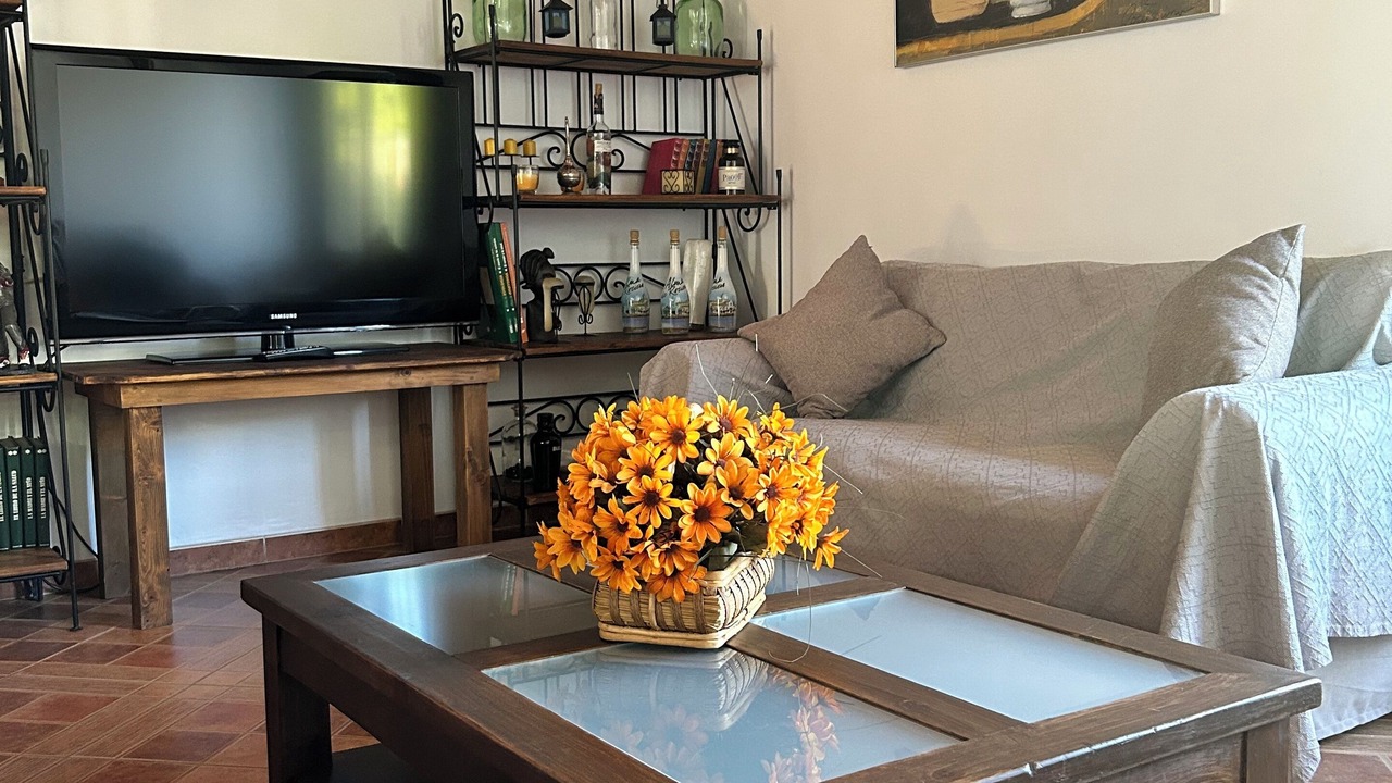 Photo of Livingroom in Las Cabezas de San Juan