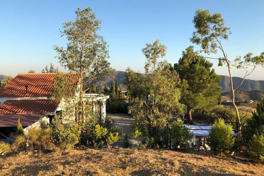 Photo of Outdoor in Canillas de Aceituno