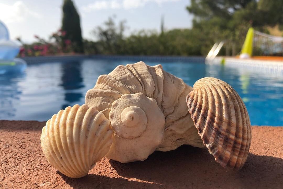 Photo of Outdoor in Canillas de Aceituno