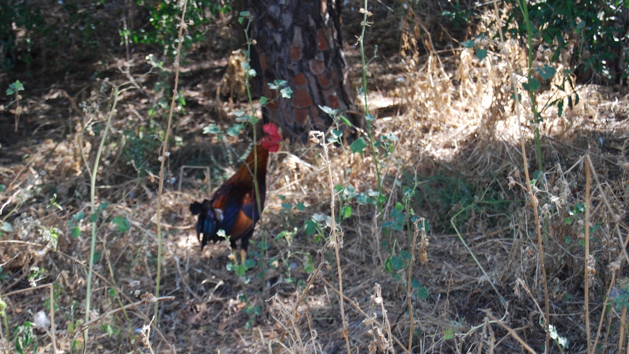 Photo of Others in La Puebla del Rio