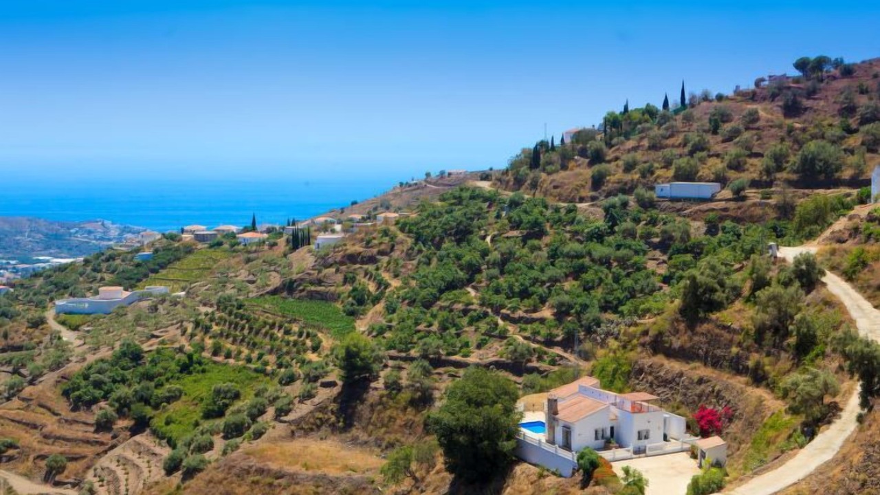 Photo of Others in Torrox