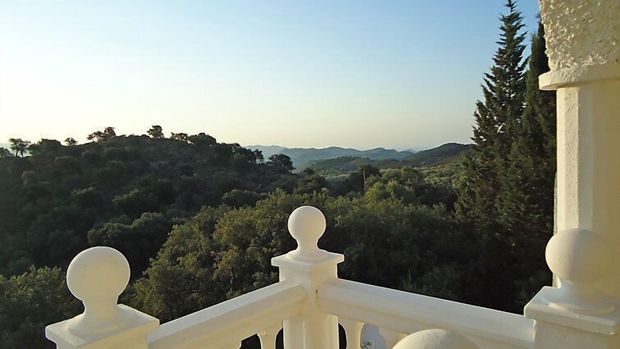 Photo of Others in Almogia