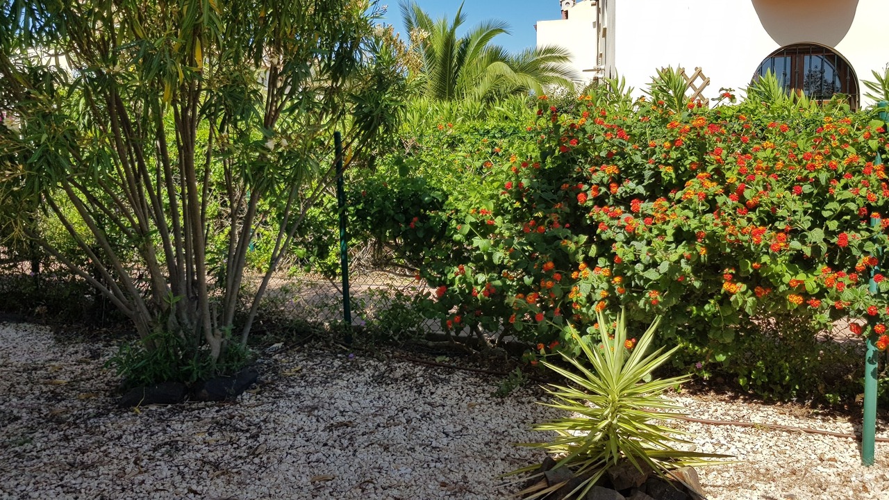 Photo of Outdoor in Costa Esuri