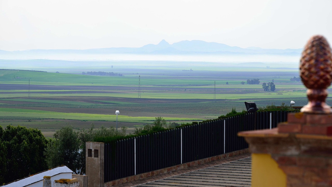 Photo of Outdoor in Mairena del Alcor
