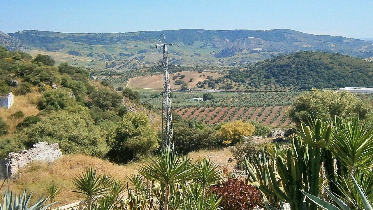 Photo of Others in Pruna
