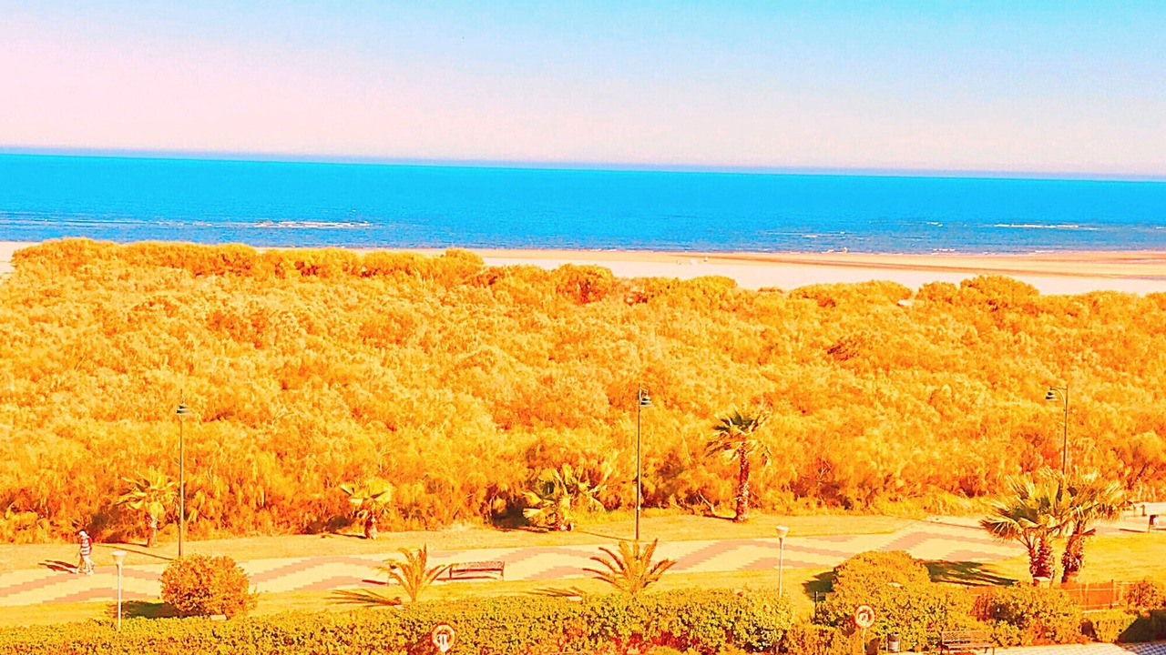 Photo of Outdoor in Punta del Moral
