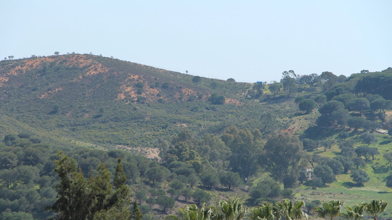 Photo of Others in Costa Esuri