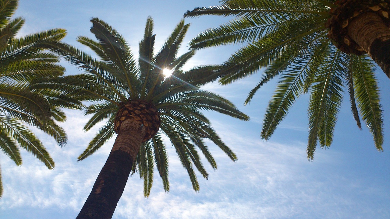 Photo of Outdoor in Costa Esuri