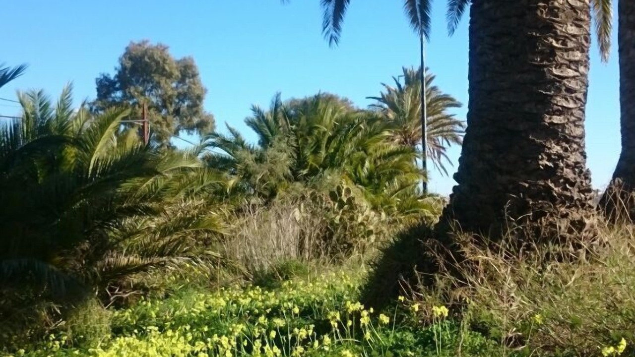 Photo of Outdoor in Costa Esuri