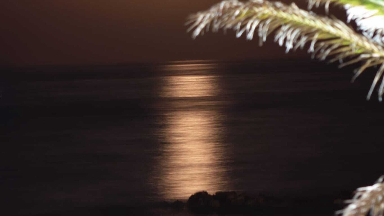 Photo of Others in Benalmadena Costa