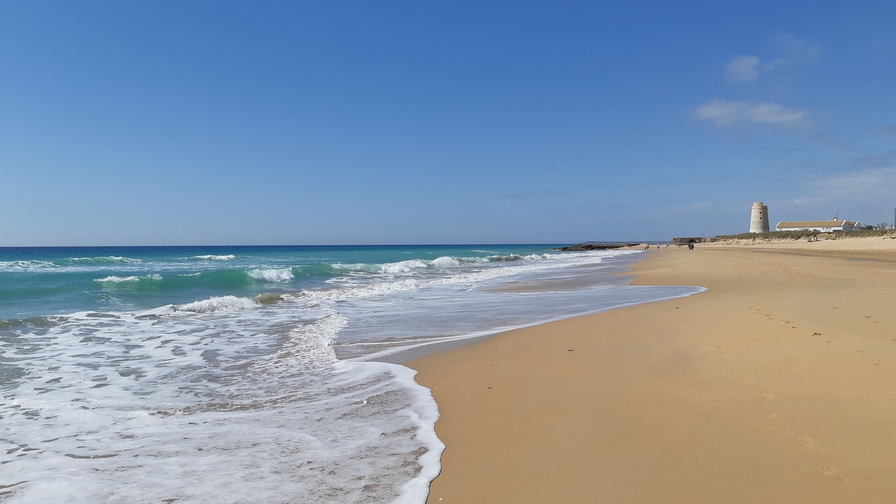 Photo of Others in Barbate