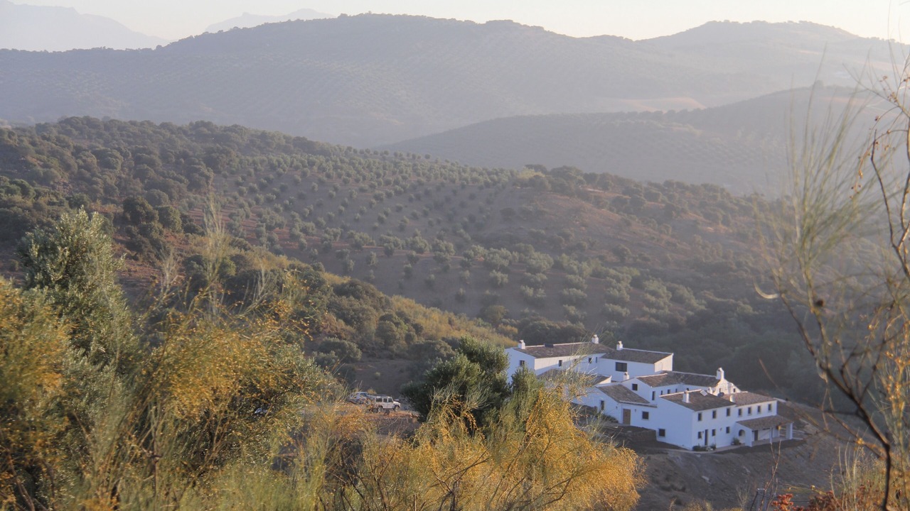 Photo of Outdoor in La Bobadilla