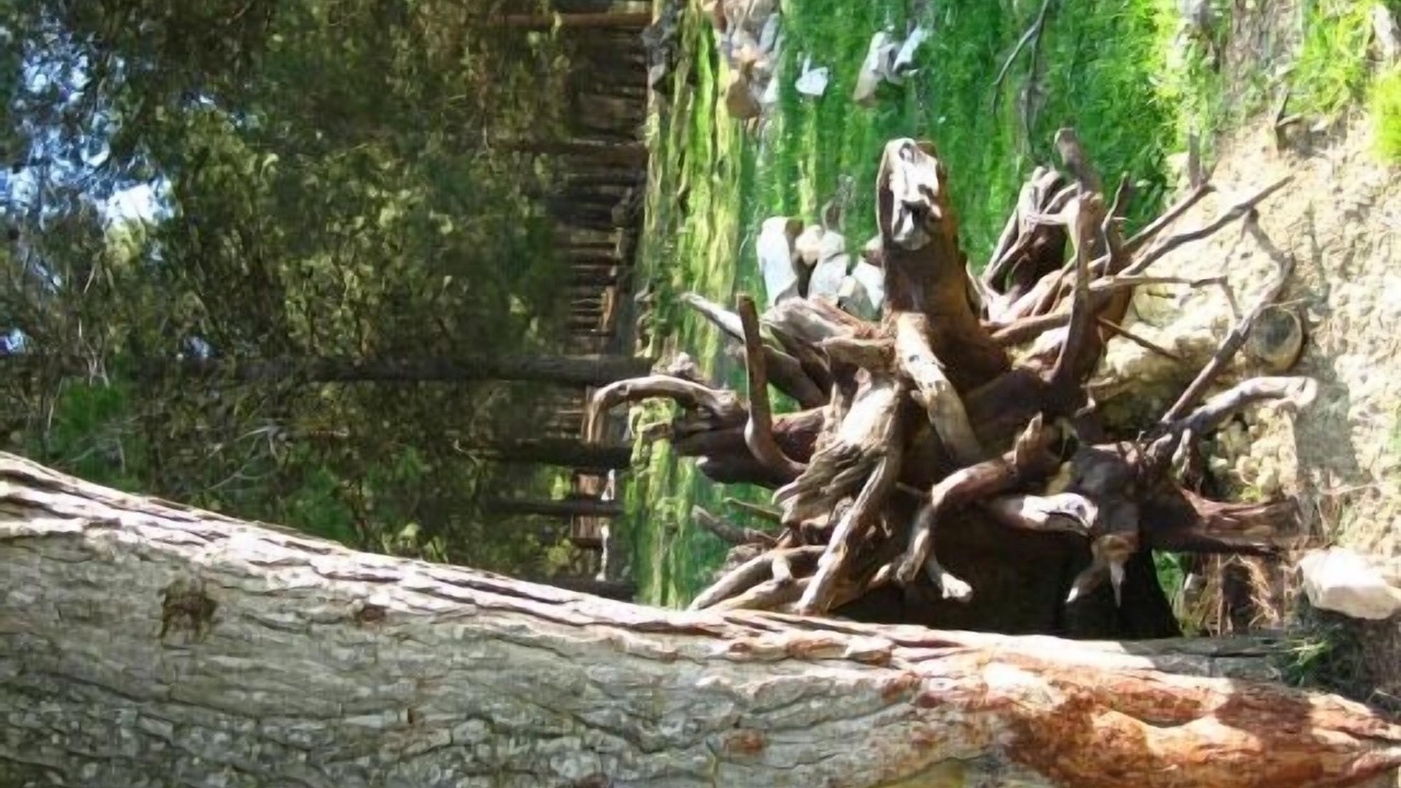 Photo of Outdoor in Villanueva del Trabuco