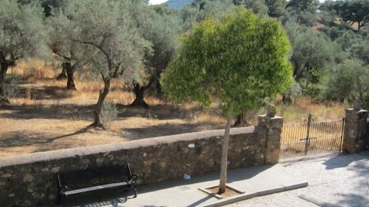 Photo of Outdoor in Alajar
