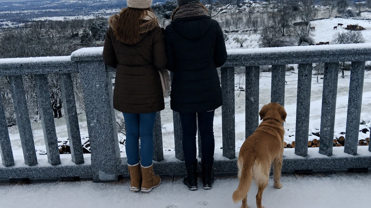 Photo of Outdoor in Navalmoral de Bejar