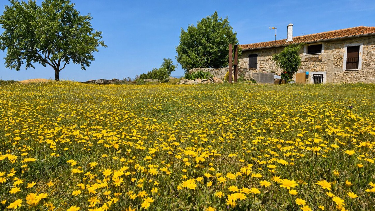 Photo of Outdoor in Navalmoral de Bejar