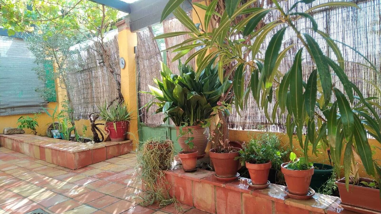 Photo of Outdoor in Pegalajar