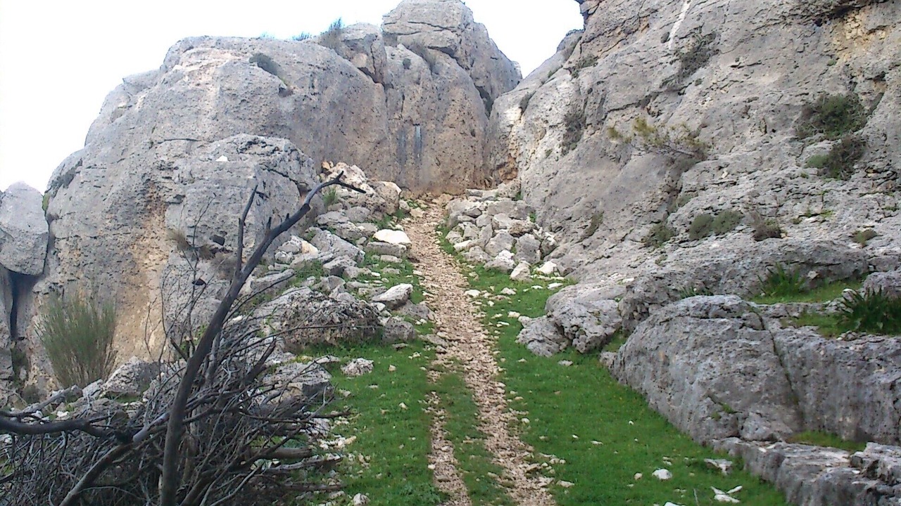 Photo of Outdoor in Pegalajar