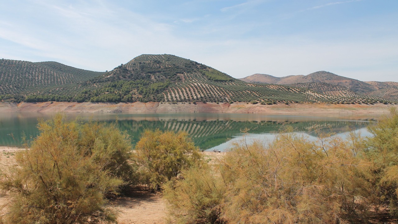 Photo of Outdoor in Iznajar