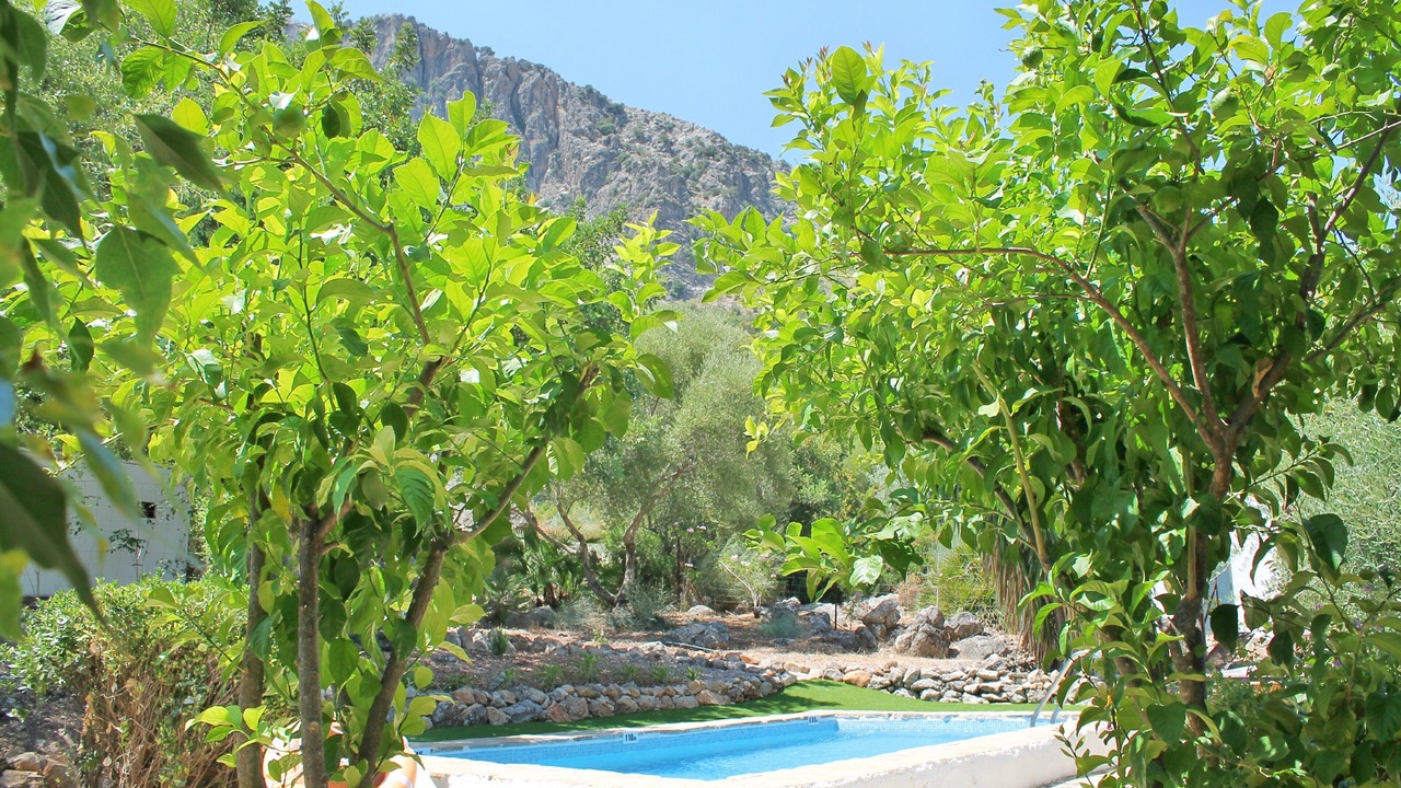 Photo of Outdoor in Montecorto