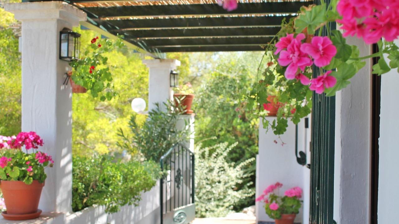 Photo of Outdoor in Montecorto