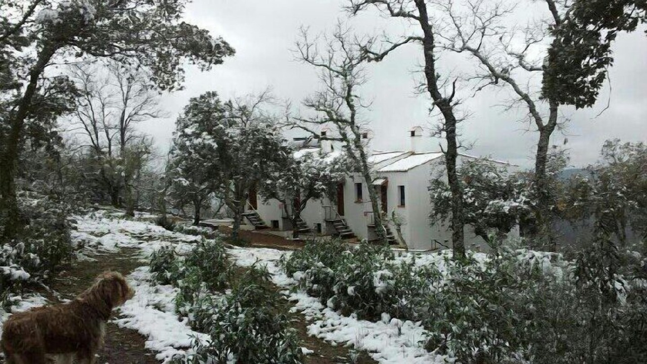 Photo of Outdoor in Cabeza la Vaca