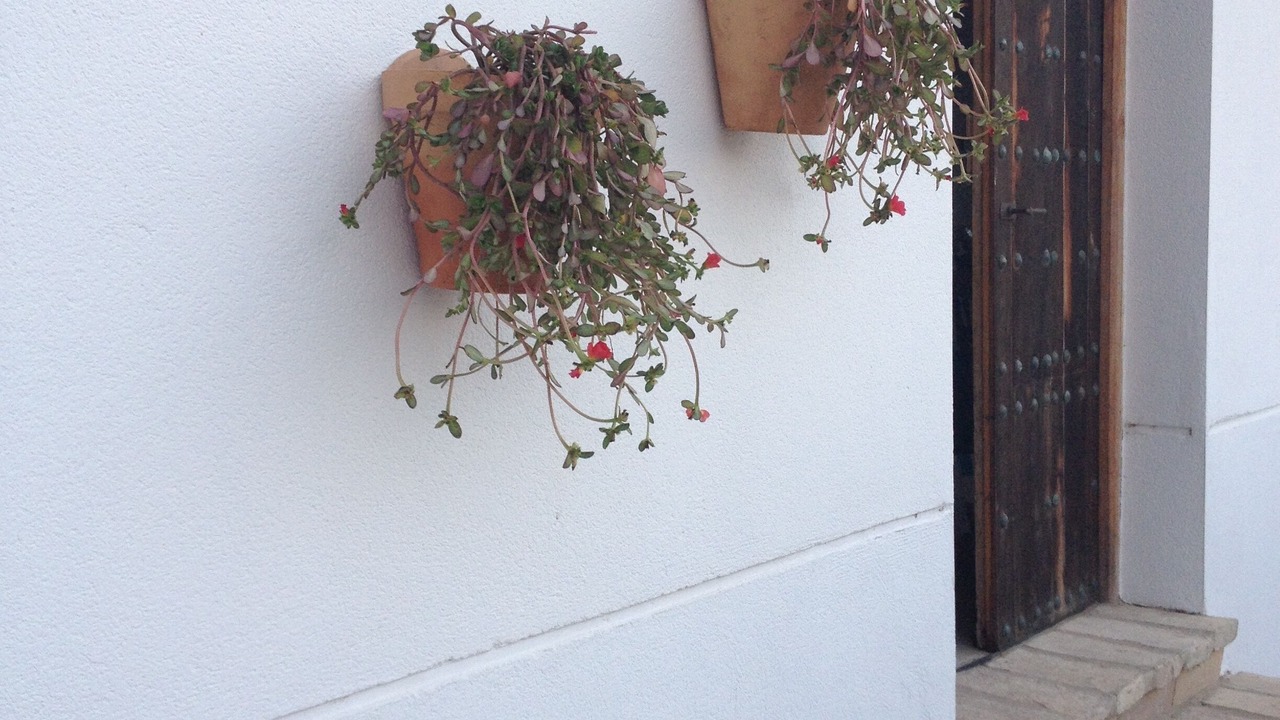 Photo of Outdoor in Alcala de los Gazules