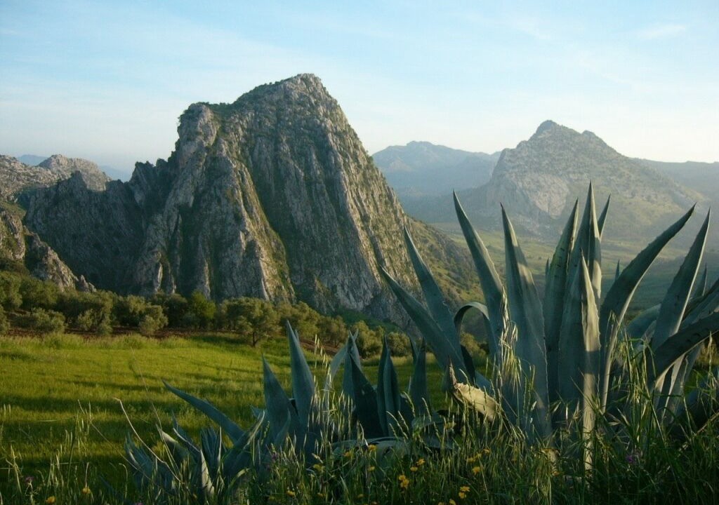Photo of Outdoor in Montejaque