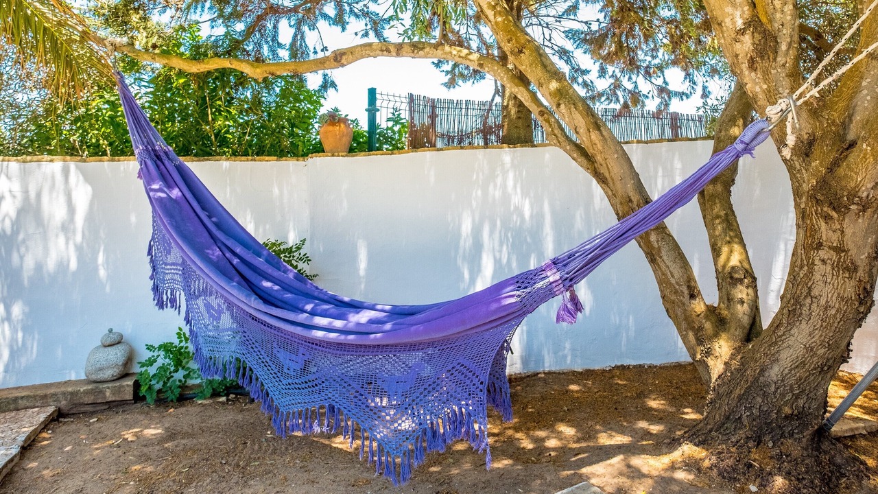 Photo of Outdoor in El Palmar